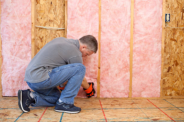 Eco-Friendly Insulation Solutions in Wanamassa, NJ